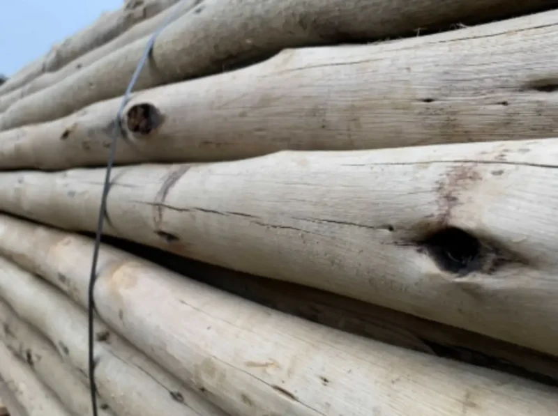 HOUTEN PALENSET UIT EUCALYPTUS VOOR BONGA STRETCHTENT 6,5 X 10 M