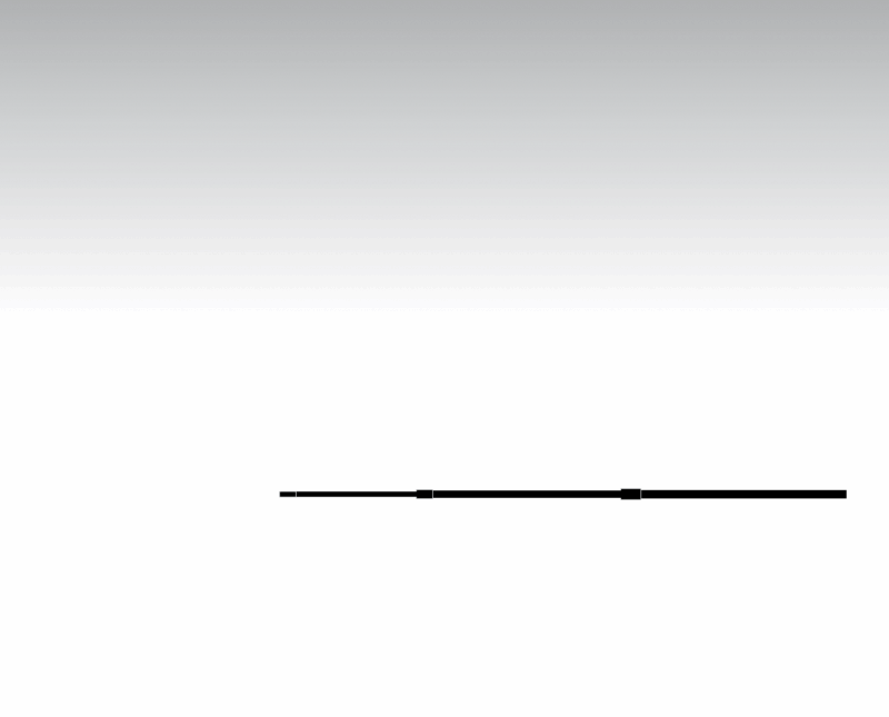 aluminium pole - 2,9m
